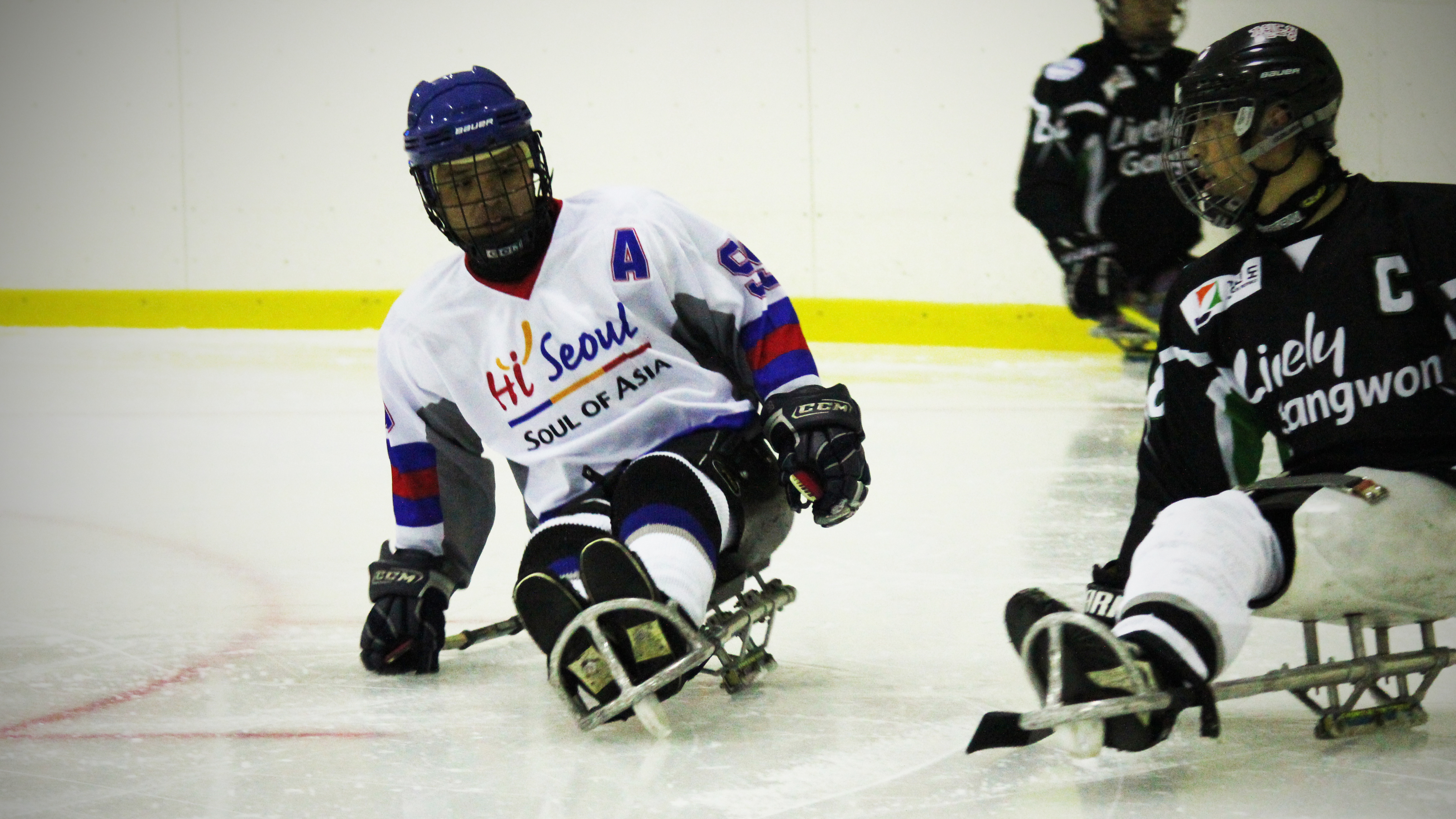 서울특별시장애인체육회